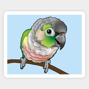 Super Cute Green Opal Yellow Side Conure Magnet